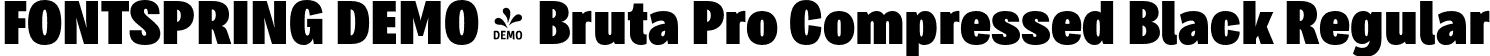 FONTSPRING DEMO - Bruta Pro Compressed Black Regular font | Fontspring-DEMO-brutaprocompressed-black.otf