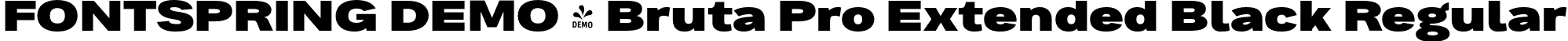 FONTSPRING DEMO - Bruta Pro Extended Black Regular font | Fontspring-DEMO-brutaproextended-black.otf