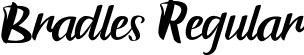 Bradles Regular font | Bradles.ttf