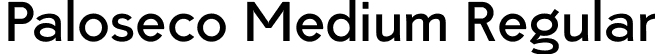 Paloseco Medium Regular font | Paloseco-Medium-2.ttf