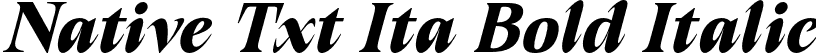 Native Txt Ita Bold Italic font | NativeTxt-BoldItalicItalic.otf