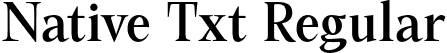 Native Txt Regular font | NativeTxt-Regular.otf