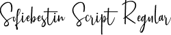 Sofiebestin Script Regular font | sofiebestin-script-demo.ttf