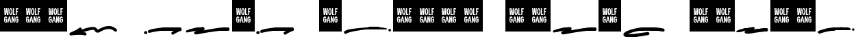 WOLF GANG SCRIPT SWASH Italic font | WOLF-GANG-SCRIPT-SWASH.ttf