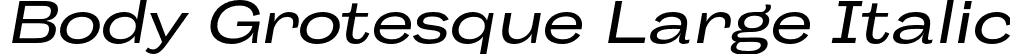 Body Grotesque Large Italic font | zetafonts-body-grotesque-large-italic.otf