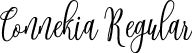 Connekia Regular font | connekia.ttf