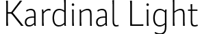 Kardinal Light font | lettersoup-kardinal-light.otf