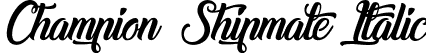 Champion Shipmate Italic font | champion-shipmate.ttf