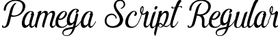 Pamega Script Regular font | pamega-demo.ttf