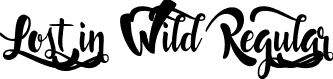 Lost in Wild Regular font | Lost in Wild.ttf