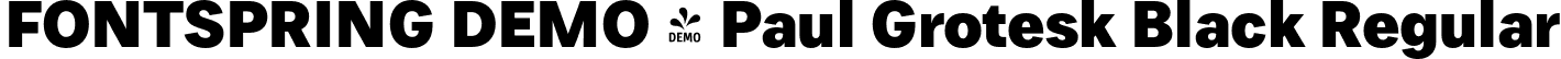 FONTSPRING DEMO - Paul Grotesk Black Regular font | Fontspring-DEMO-paulgrotesk-black.otf