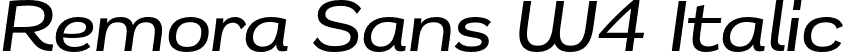 Remora Sans W4 Italic font | g-type-remorasansw4-mediumitalic.otf