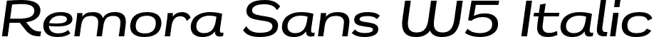 Remora Sans W5 Italic font | g-type-remorasansw5-mediumitalic.otf