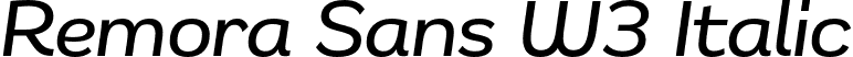 Remora Sans W3 Italic font | g-type-remorasansw3-mediumitalic.otf