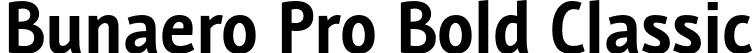 Bunaero Pro Bold Classic font | Buntype - BunaeroPro-BoldCl.otf