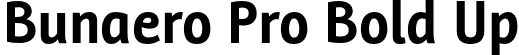 Bunaero Pro Bold Up font | Buntype - BunaeroPro-BoldUp.otf