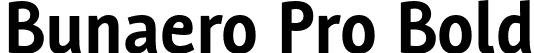 Bunaero Pro Bold font | Buntype - BunaeroPro-Bold.otf