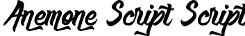 Anemone Script Script font | anemone-script.ttf