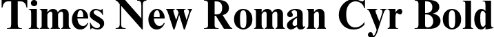 Times New Roman Cyr Bold font | times new roman bold.ttf