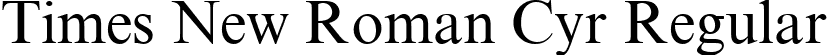 Times New Roman Cyr Regular font | times new roman.ttf