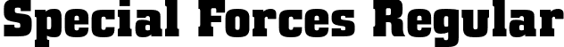 Special Forces Regular font | special forces rg.otf