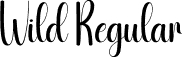 Wild Regular font | Wild.otf