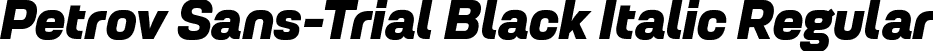 Petrov Sans-Trial Black Italic Regular font | PetrovSans-Trial-BlackItalic.ttf