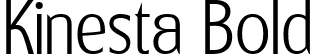 Kinesta Bold font | kinestathin-eavag.ttf