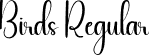 Birds Regular font | Birds.otf