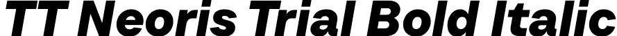 TT Neoris Trial Bold Italic font | TT-Neoris-Trial-Bold-Italic.ttf