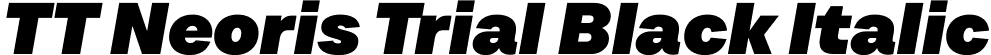 TT Neoris Trial Black Italic font | TT-Neoris-Trial-Black-Italic.ttf