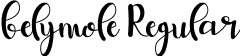 belymole Regular font | belymole-x3j52.otf