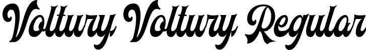 Voltury Voltury-Regular font | voltury-demo.otf