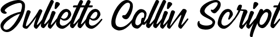 Juliette Collin Script font | JuliettecollinscriptRegular-7O9qE.otf