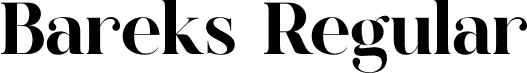 Bareks Regular font | bareks.otf