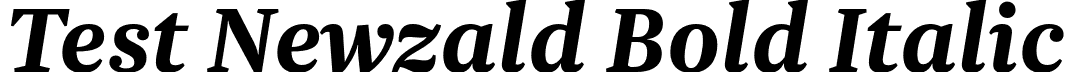 Test Newzald Bold Italic font | TestNewzald-BoldItalic.otf