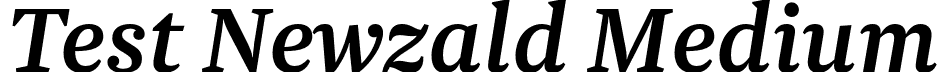 Test Newzald Medium font | TestNewzald-MediumItalic.otf