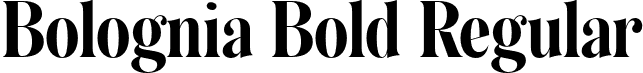 Bolognia Bold Regular font | Bolognia Bold.otf