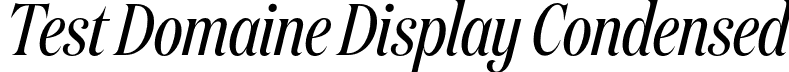 Test Domaine Display Condensed font | TestDomaineDisplayCondensed-RegularItalic.otf