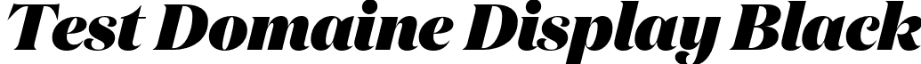 Test Domaine Display Black font | TestDomaineDisplay-BlackItalic.otf