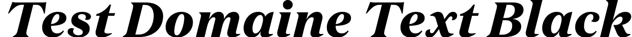 Test Domaine Text Black font | TestDomaineText-BlackItalic.otf