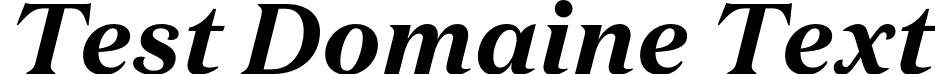 Test Domaine Text font | TestDomaineText-BoldItalic.otf