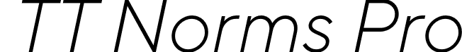 TT Norms Pro font | TT Norms Pro Light Italic.otf