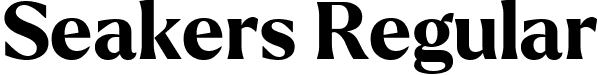 Seakers Regular font | Seakers.ttf