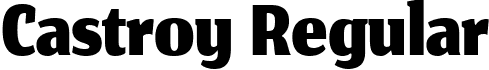 Castroy Regular font | Castroy 1.ttf