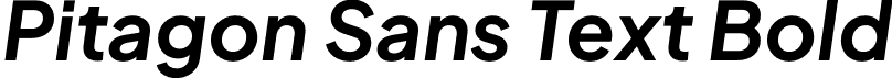 Pitagon Sans Text Bold font | PitagonSansText-BoldItalic.otf