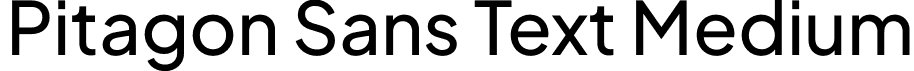 Pitagon Sans Text Medium font | PitagonSansText-Medium.otf