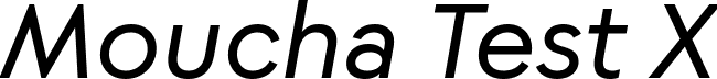 Moucha Test X font | Moucha-Test-X-Italic.ttf