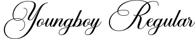 Youngboy Regular font | youngboy.otf