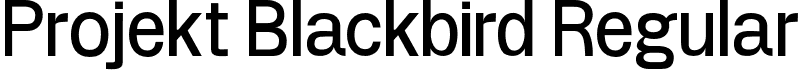 Projekt Blackbird Regular font | projekt-blackbird.otf